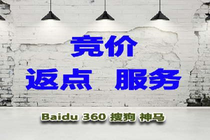 行业领先企业的网站sem托管实践